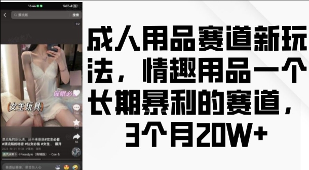 成人用品赛道新玩法，情趣用品一个长期暴利的赛道，3个月收益20个【揭秘】-艾客创业网