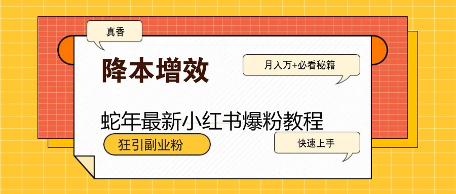 蛇年最新小红书爆粉教程，狂引副业粉，月入万+必看-艾客创业网