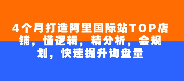 4个月打造阿里国际站TOP店铺，懂逻辑，精分析，会规划，快速提升询盘量-艾客创业网