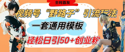 视频号“野路子”玩法，评论区疯狂截流，一套模板单日单号引流50+创业粉-艾客创业网