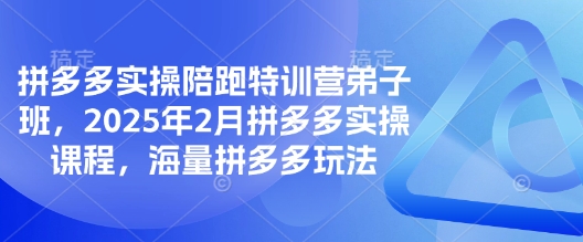 拼多多实操陪跑特训营弟子班，2025年2月拼多多实操课程，海量拼多多玩法-艾客创业网