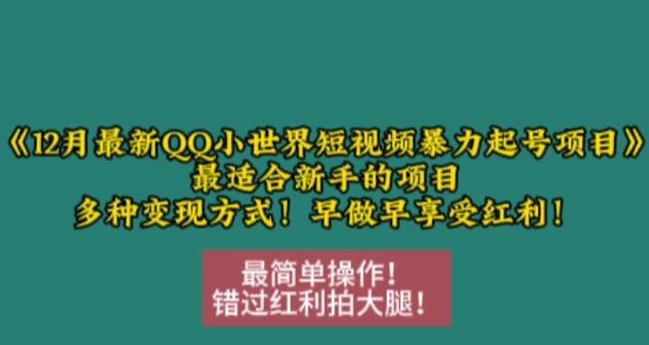 12月最新QQ小世界短视频暴力起号项目，最适合新手的项目，多种变现方式-艾客创业网