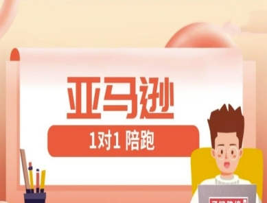 亚马逊1对1陪跑课(FBA/FBM精铺)跨境亚马逊教程-艾客创业网