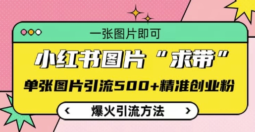 小红书图片‘求带’爆火引流法，单张图片引流500+精准创业粉【揭秘】-艾客创业网