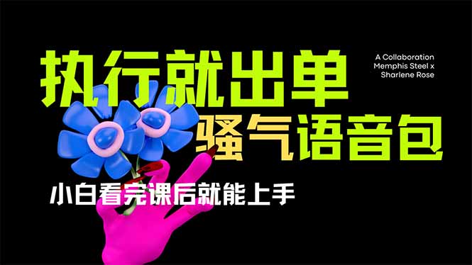 爆火全网的开车导航骚气语音包,只要执行就出单，小白看完课程就能实操…-艾客创业网