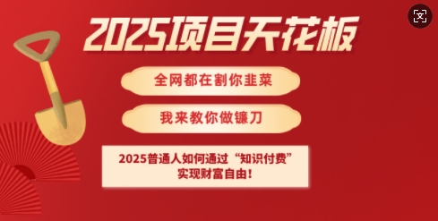 2025项目天花板普通人如何通过知识付费，实现财F自由【揭秘】-艾客创业网